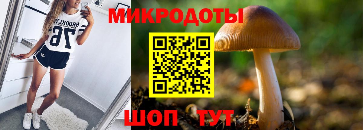 Галлюциногенные грибы прущие грибы  Вход с VPN  Похвистнево 