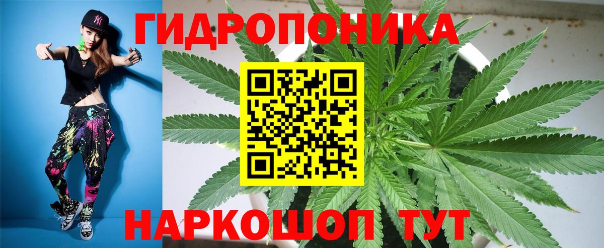 Каннабис сатива Похвистнево